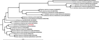 Detection and Genetic Characterization of Viruses Present in Free-Ranging Snow Leopards Using Next-Generation Sequencing